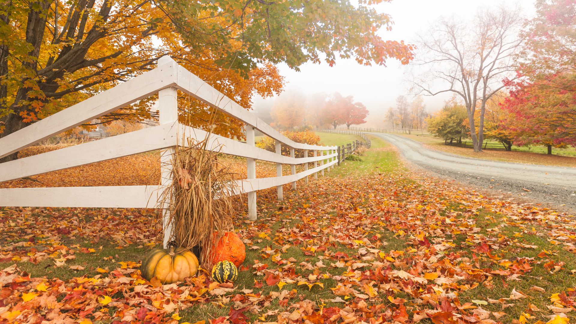 Wishing you a Happy Thanksgiving